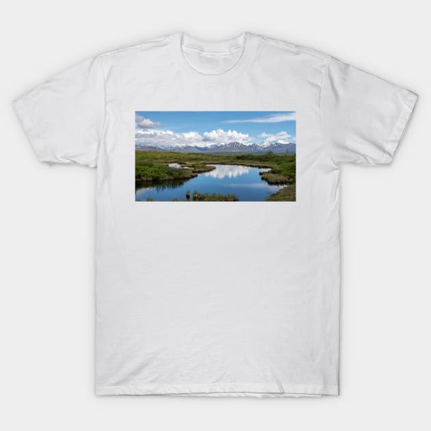 Alaska Range T-Shirt by andykazie